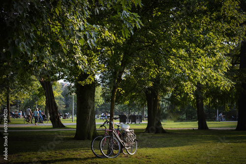 Photography Bikes in Vondelpark - Amsterdam