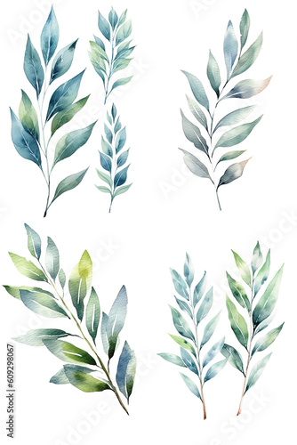 Watercolour Blue Green Leaves on clear isolated background  Clip art  Wedding invitation  Greeting Card  Seasonal  Beautiful Pattern