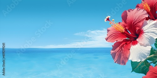 Hibiscus flower on the beach with copyspace photo
