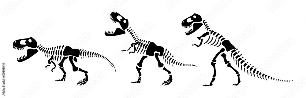 Tyrannosaurus Rex skeleton silhouette . Vector illustration . Stock ...