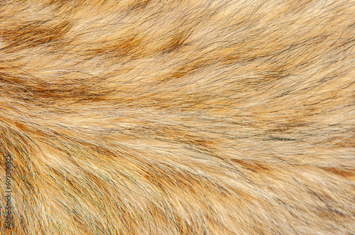 Beautiful spotted fur close-up. Texture of brown animal wool. Dog fur.