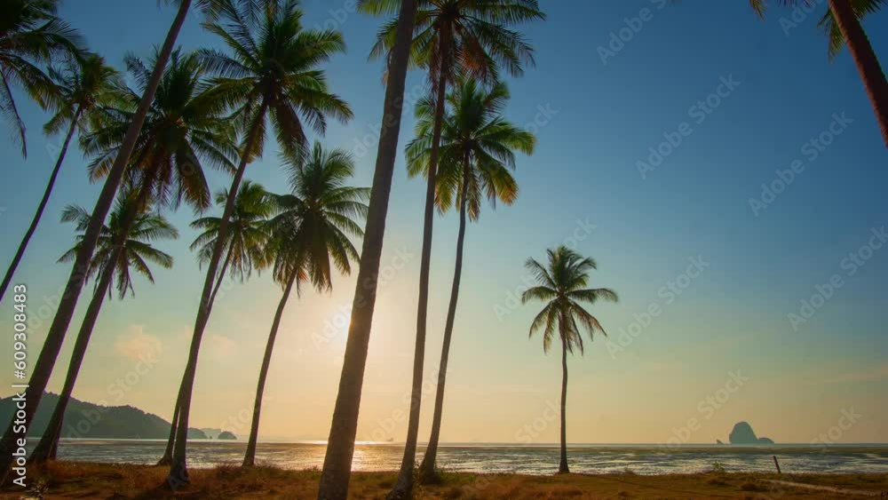 .Time lapse Laem Had Beach in Koh Yao Yai island in the andaman sea between Phuket and Krabi Thailand..sunrise in coconut field with blue sky. .beautiful landscape with tropical islands in the .Time lapse Laem Had Beach in Koh Yao Yai island in the andaman sea between Phuket and Krabi Thailand..sunrise in coconut field with blue sky. .beautiful landscape with tropical islands in the