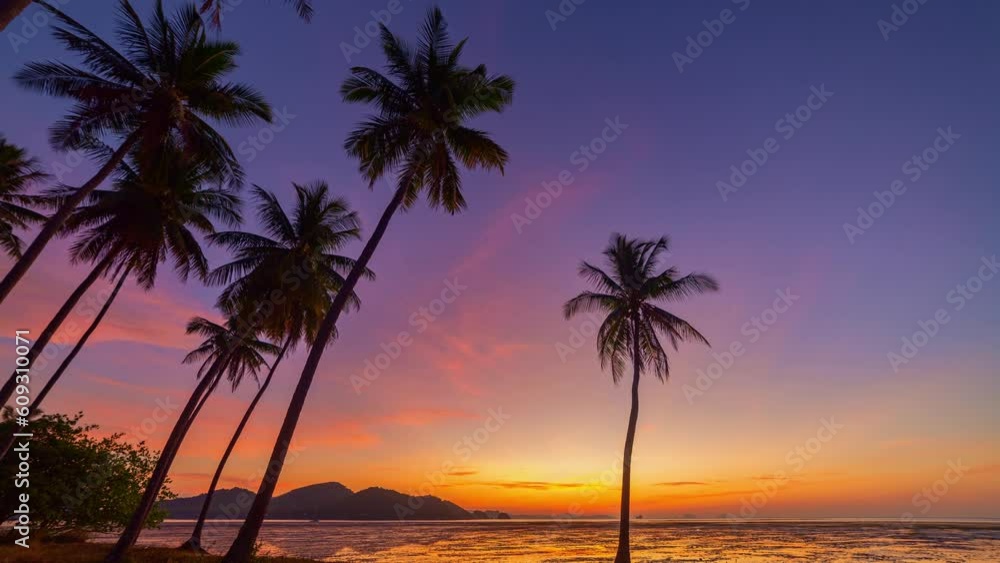 .time lapse stunning sky at sunrise in coconut trees..Wonderful view of colorful landscape during the sunrise. .fantastic light of nature at horizon in Laem Had sand beach Koh Yao Yai Phang Nga. . .time lapse stunning sky at sunrise in coconut trees..Wonderful view of colorful landscape during the sunrise. .fantastic light of nature at horizon in Laem Had sand beach Koh Yao Yai Phang Nga. .