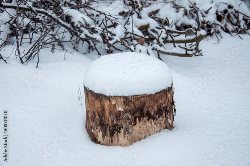 The stump is covered with fresh snow. A thick layer of snow on top. Branch textures.