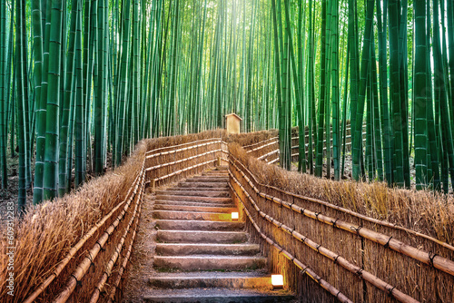 Bamboo Forest in Kyoto  Japan.