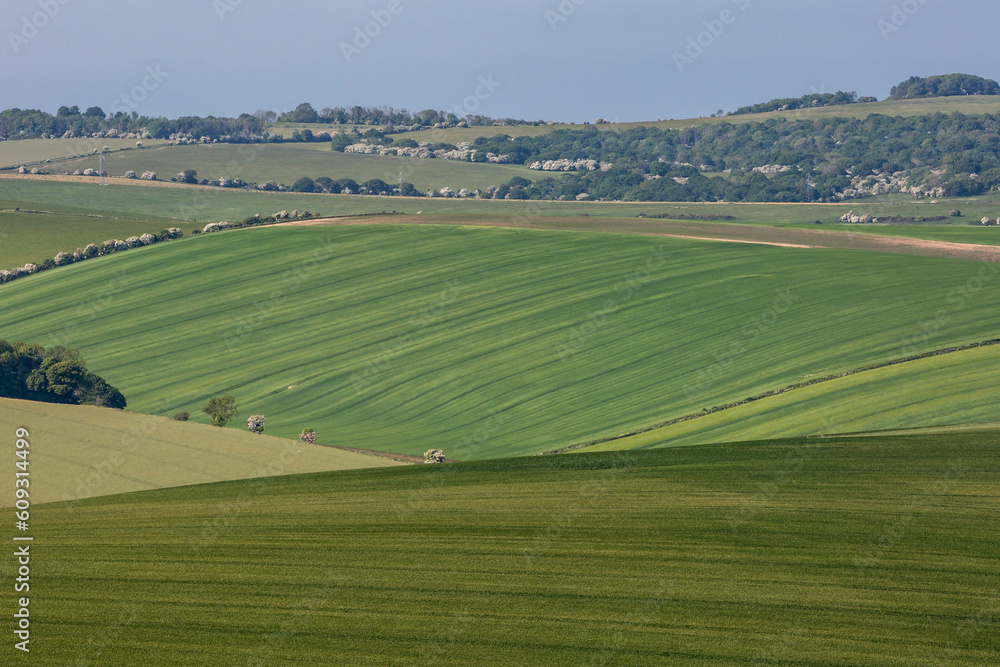 A green rolling landscape in the South Downs in Sussex