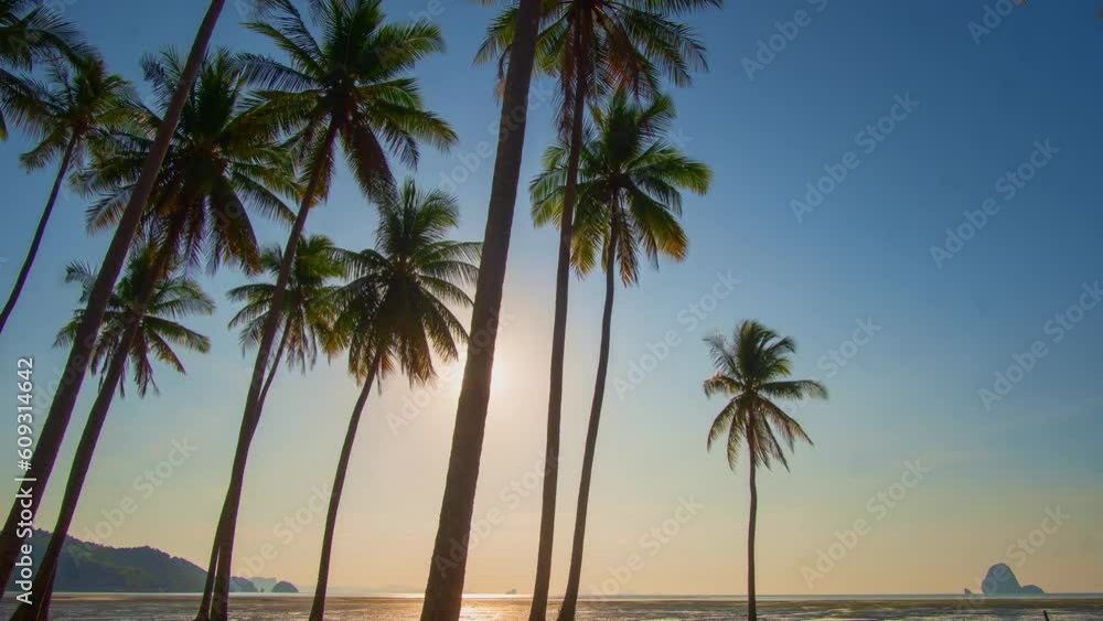 .Time lapse Laem Had Beach in Koh Yao Yai island in the andaman sea between Phuket and Krabi Thailand..sunrise in coconut field with blue sky. .beautiful landscape with tropical islands .Time lapse Laem Had Beach in Koh Yao Yai island in the andaman sea between Phuket and Krabi Thailand..sunrise in coconut field with blue sky. .beautiful landscape with tropical islands