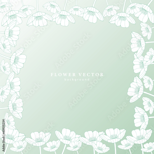 Gradient floral green background with white poppies. Background for postcards, diplomas, invitation and wedding cards, covers, designs