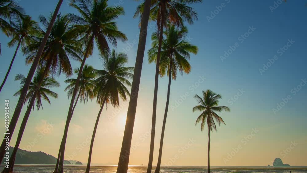.Time lapse Laem Had Beach in Koh Yao Yai island in the andaman sea between Phuket and Krabi Thailand..sunrise in coconut field with blue sky. .beautiful landscape with tropical islands i