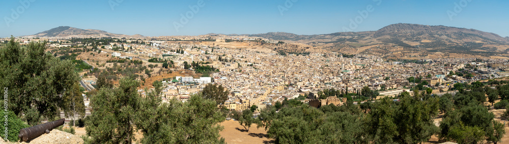 Fez Morocco the medina medieval town from above