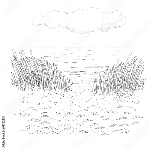 Beach. Sky, nice weather. Happy holiday.  Stock illustration. Hand painted,  line art .