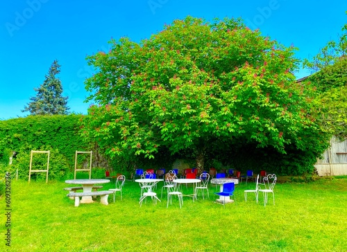 picnic in the park in vezelay photo