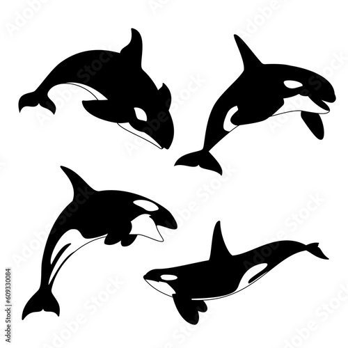 Orca vector illustration. Killer whale silhouette.
