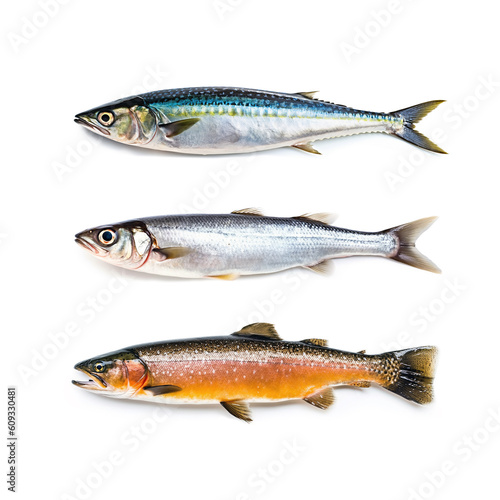 Fish isolated herring fish, mackerel, artic char, isolated generative ai