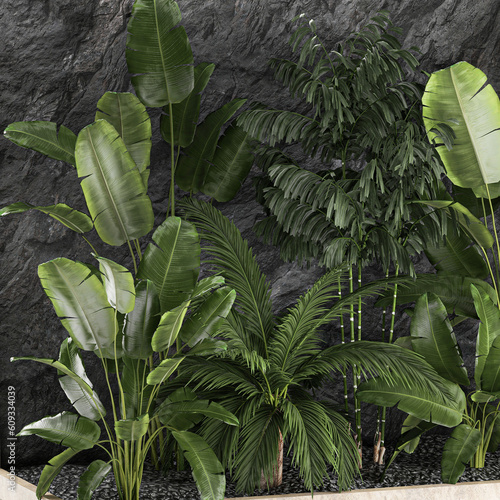  Tropical home garden with rock wall and black pebbles photo