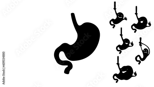 human stomach silhouette