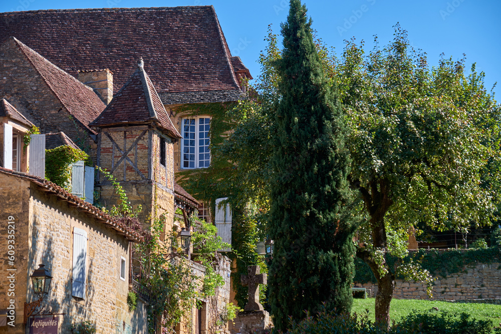 houses in the town Sarlat in Perigord, France
