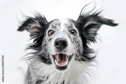 Portrait of happy dog. Generative AI