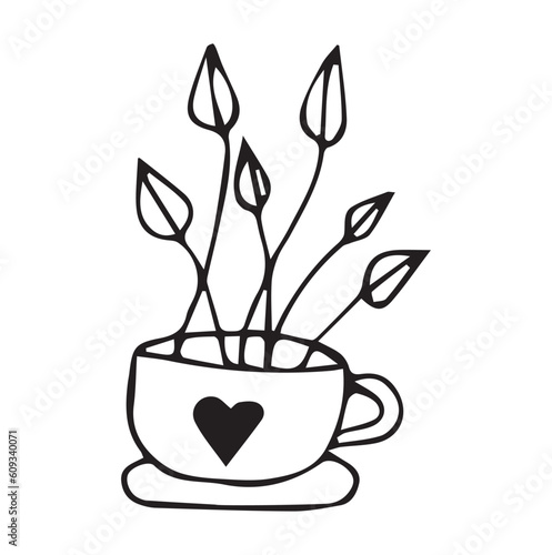 flowers in the pot. doodle art. on a white background. vector drawing. indoor flowers of different types. black and white color of the drawing. petals and flowers. shaped flower pots.
