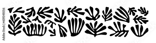 Plant branch brush drawn with bold lines. Pine branch, evergreen tree or cedar twig vector ink illustration. Naive and primitive style drawing. Botanical rustic element. Geometric shape plant.