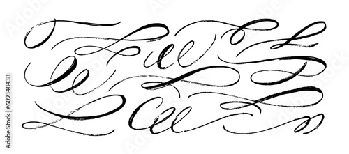 Brush drawn vector swooshes set. Hand draw calligraphy swirls and curls. Curly, wavy decorative swashes on white background. Font tails, black calligraphy flourishes. Underline text elements.