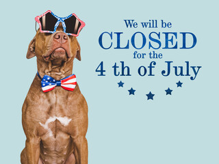 Signboard with the inscription We will be closed for the 4th of July. Cute brown puppy. Closeup, indoors. Studio shot. Congratulations for family, loved ones, friends and colleagues. Pets care concept