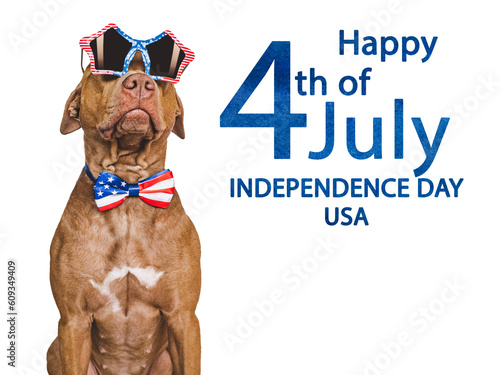 Independence Day. American Flag and cute brown puppy. Closeup, indoors. Studio shot. Congratulations for family, loved ones, friends and colleagues. Pets care concept