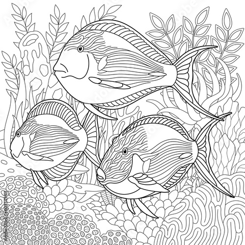 Underwater scene with a school of eye-stripe surgeonfish. Adult coloring book page with intricate mandala and zentangle elements.