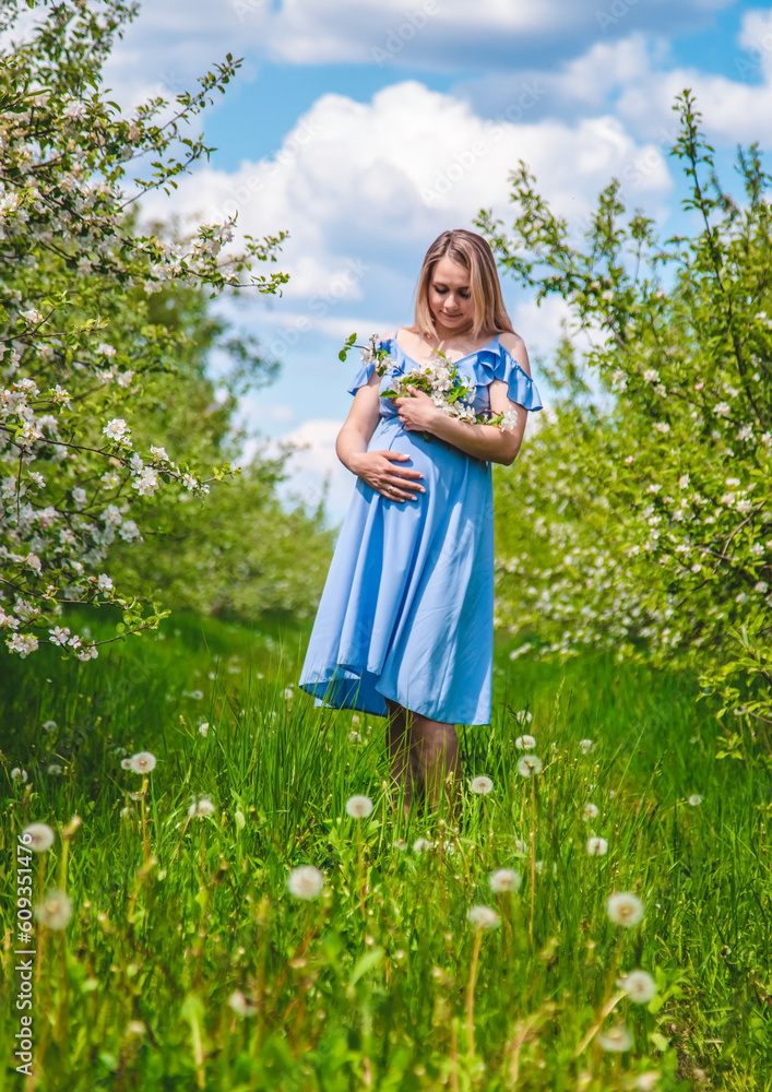 Pregnant woman in the garden of flowering apple trees. Selective focus. Pregnant woman in the garden of flowering apple trees. Selective focus.