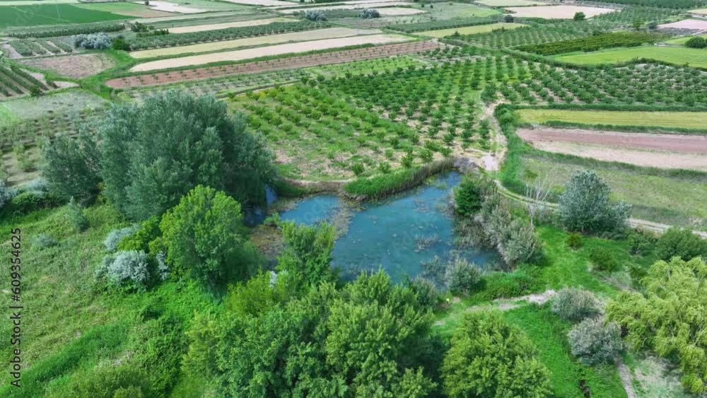 Aerial view from a drone of the wetland in the Ojos del Pontil natural space in Rueda de Jalón. Valdejalón region. Saragossa. Aragon. Spain. Europe Aerial view from a drone of the wetland in the Ojos del Pontil natural space in Rueda de Jalón. Valdejalón region. Saragossa. Aragon. Spain. Europe
