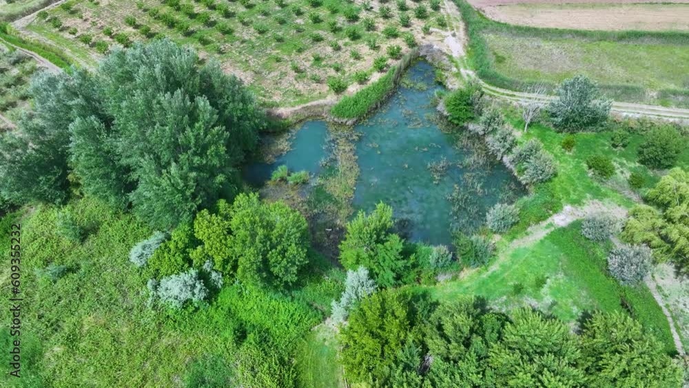 Aerial view from a drone of the wetland in the Ojos del Pontil natural space in Rueda de Jalón. Valdejalón region. Saragossa. Aragon. Spain. Europe Aerial view from a drone of the wetland in the Ojos del Pontil natural space in Rueda de Jalón. Valdejalón region. Saragossa. Aragon. Spain. Europe