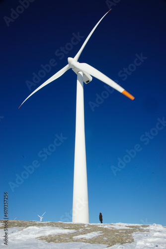 wind turbine