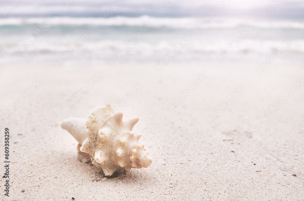 Shell on a tropical beach, selective focus, color toning applied. Shell on a tropical beach, selective focus, color toning applied.