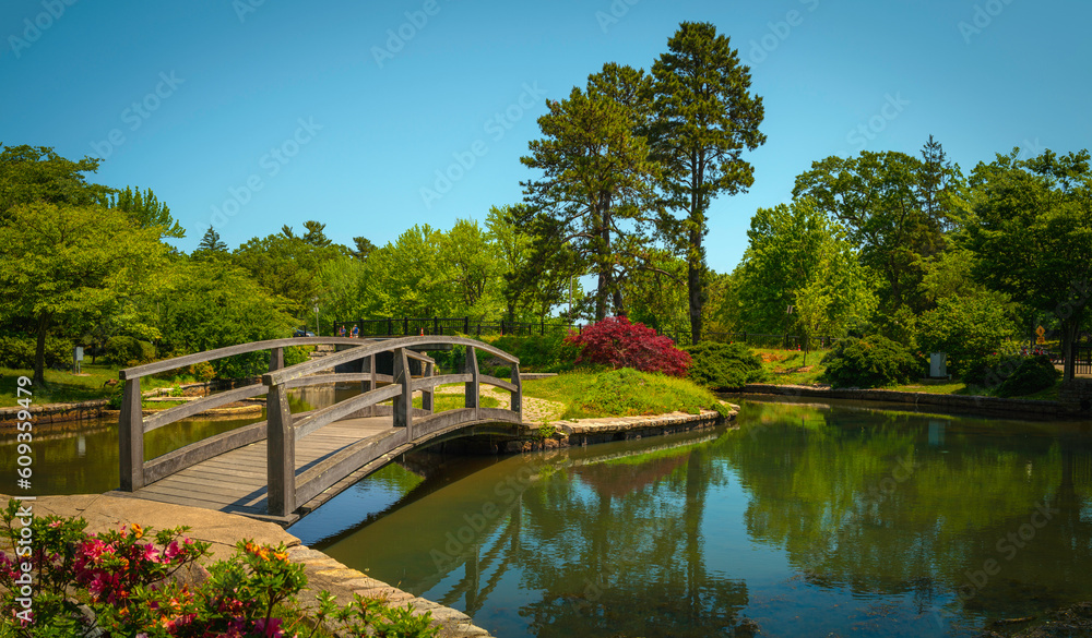 Wooden footbridge leading to a small landscaped island in a pond