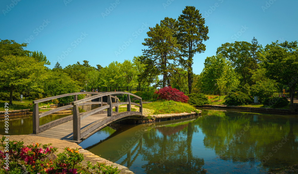 Fototapeta premium Wooden footbridge leading to a small landscaped island in a pond