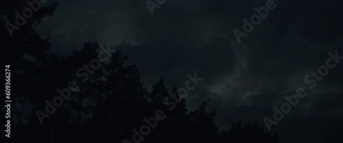 Dark clouds over the forest at night