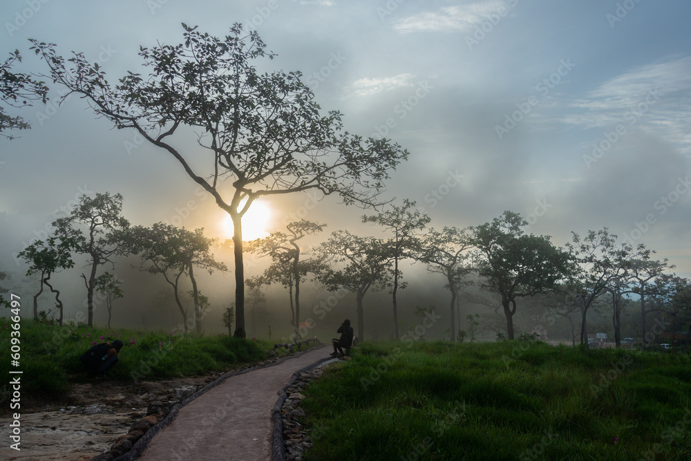 Morning sunrise foggy sky with unidentified silhouttte visitor in Sai Thong National Park Morning sunrise foggy sky with unidentified silhouttte visitor in Sai Thong National Park