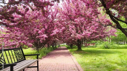 spring in the park