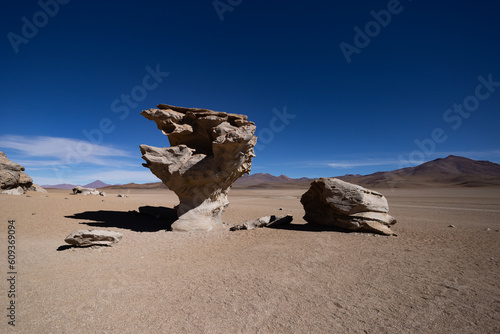 Albero di pietra nel deserto Salvador Dalì Siloli in Bolivia photo