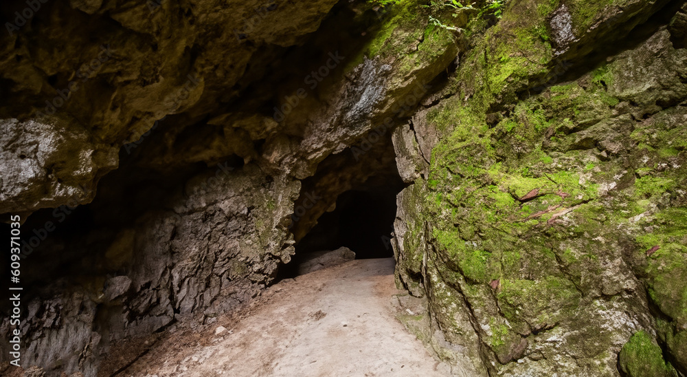 entrance to a cave in the middle of a lush forest entrance to a cave in the middle of a lush forest