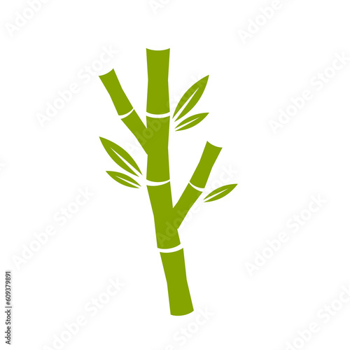 Bamboo isolated on transparent background. PNG