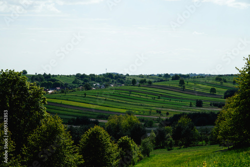 Fototapeta Naklejka Na Ścianę i Meble -  Krajobraz wiejski, zielone pola wiosną, wieś krajobraz wiejski