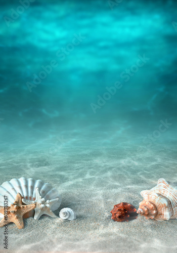 Photography Seashell and starfish on the summer beach in sea water