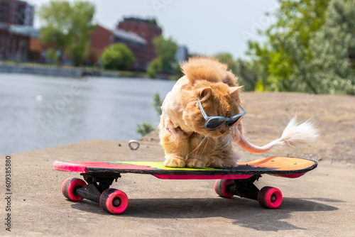 Canvas Print gorgeous wild ginger cat with mohawk and sunglasses on a neon 80s skateboard in