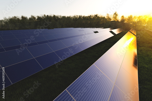 Rows of solar panels on a green meadow against the background of trees in the forest at sunset