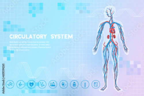 Healthcare and Medical education drawing chart of Human Circulatory System anatomy for Science Biology study