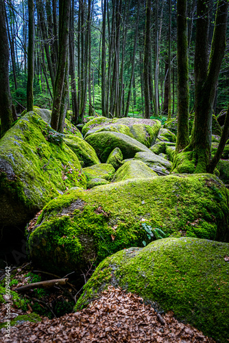 Hiking through  The Hell . Hiking Tour Through  Zur H  lle  a Location in the Bavarian Forest Germany.