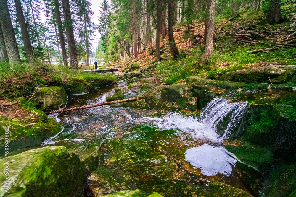Small Arbersee on the slope of Mount Arber in the Bavarian Forest. Bavaria. Germany.