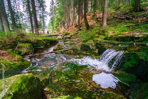Fototapeta Naklejka Na Ścianę i Meble -  Small Arbersee on the slope of Mount Arber in the Bavarian Forest. Bavaria. Germany.