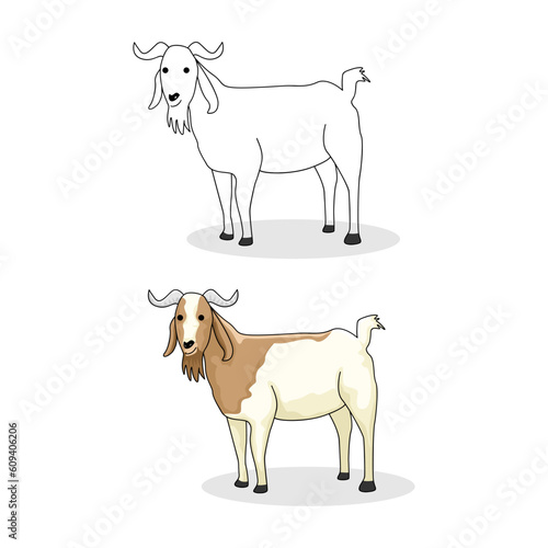 goat vector for colored book isolated on white template design